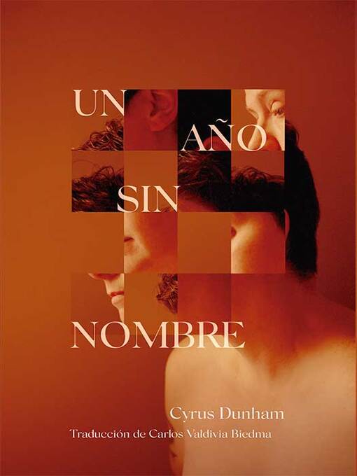 Cover image for Un año sin nombre